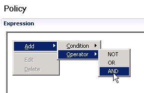 Policy window