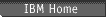 IBM Home Page